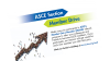 ASCE Section Member drive slide 1